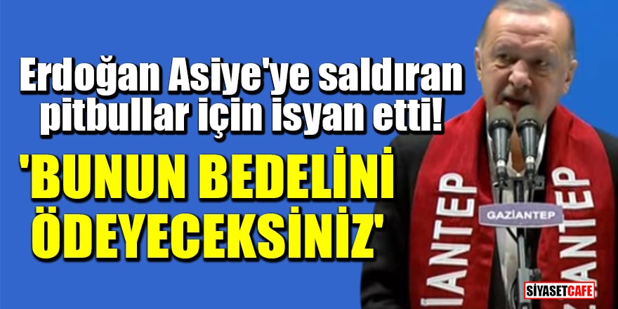 Erdoğan, Asiye'ye saldıran pitbullar için isyan etti! Bunun bedelini ödeyeceksiniz