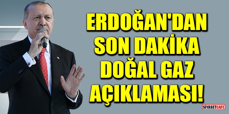 Cumhurbaşkanı Erdoğan'dan son dakika doğal gaz açıklaması!