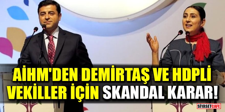 AİHM'den Demirtaş ve 40 HDP'li vekil için skandal karar!