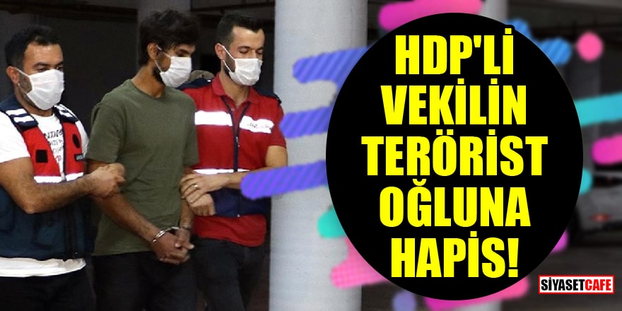 HDP'li vekil Demir Çelik'in PKK'lı terörist oğluna 9 yıl 7 ay hapis!