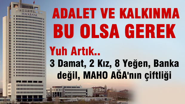 Genel Müdür Halkbank'ı aile şirketine çevirmiş!