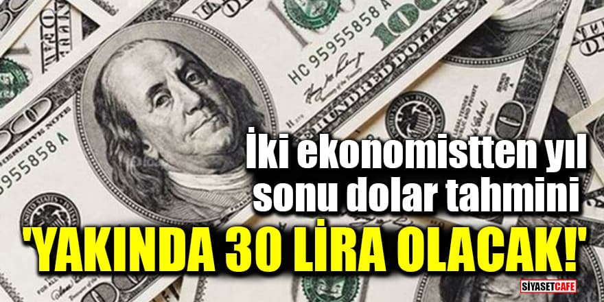 İki ekonomistten yıl sonu dolar tahmini: 'Yakında 30 lira olacak!'