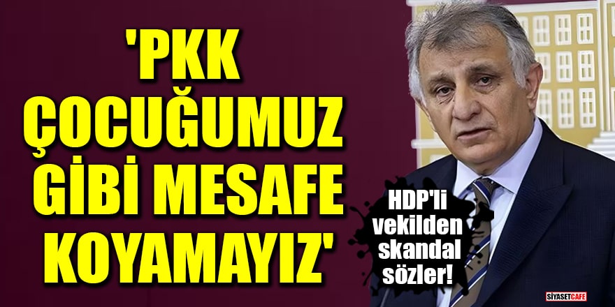 HDP'li vekilden skandal sözler: 'PKK çocuğumuz gibi mesafe koyamayız'