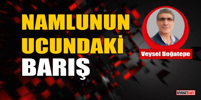 Veysel Boğatepe yazdı: Namlunun Ucundaki Barış