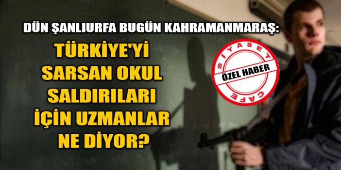 Türkiye'yi Sarsan Okul Saldırıları İçin Uzmanlar Ne Diyor?