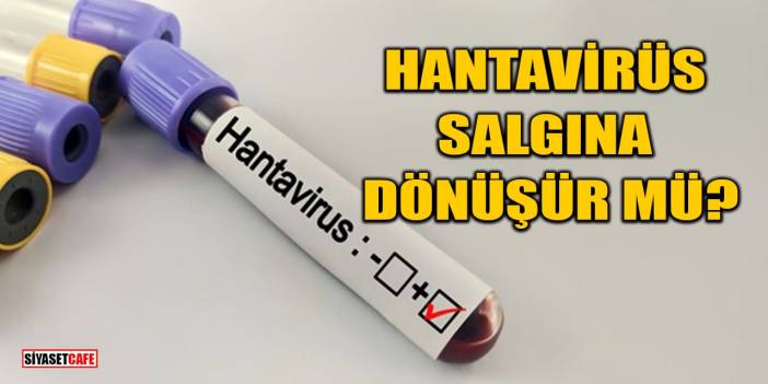 Hantavirüs Belirtileri Nedir? Hantavirüsten Nasıl Korunulur? Hantavirüs Tedavisi
