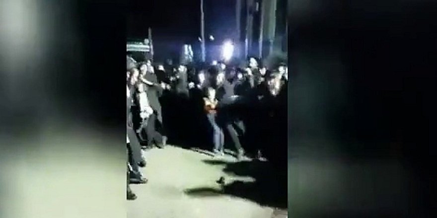 Yahudilerin fare korkusu şaşkınlık yarattı