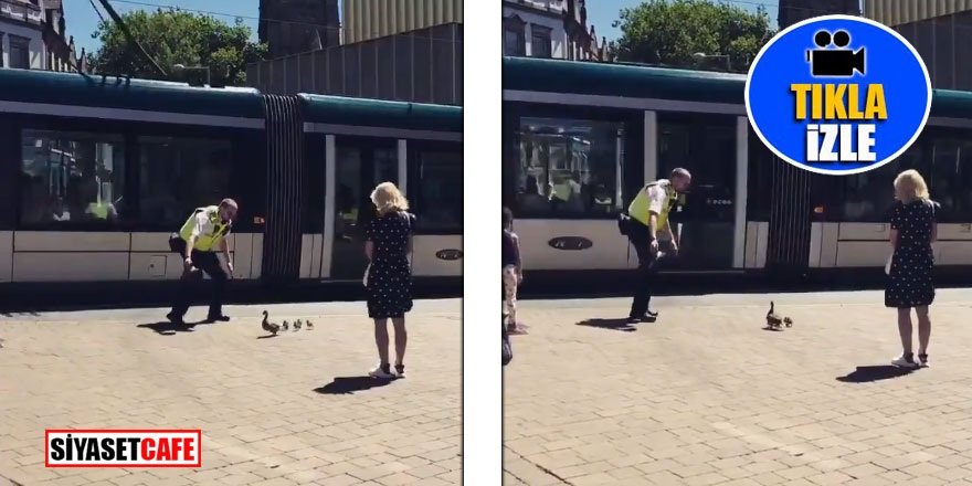 Polis ördeklere eskortluk yaptı