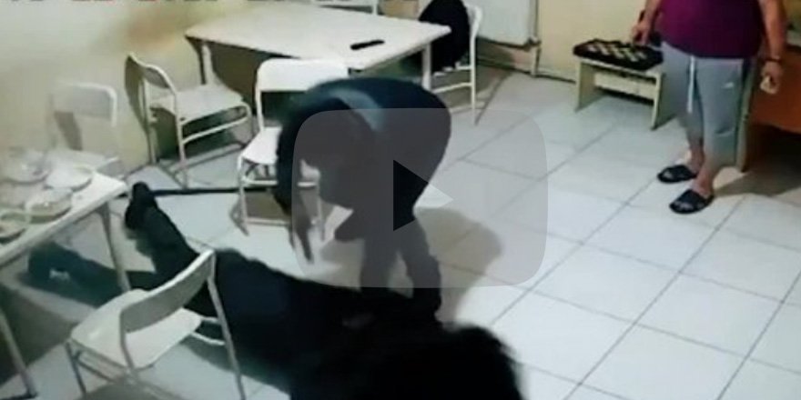 Terörist, yemekhanede işte böyle yakalandı!