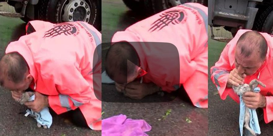 Minik kediye hayat öpücüğüne 14 bin beğeni!