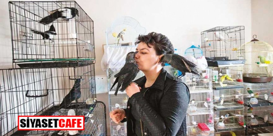 Evinde 200 hayvanla yaşıyor!