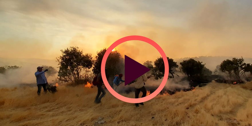 Tehlike büyüyor! Mardin'deki büyük yangın hala söndürülemedi