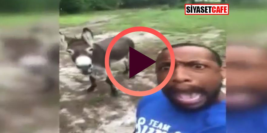 Eşşek sahibiyle şarkı söyledi!