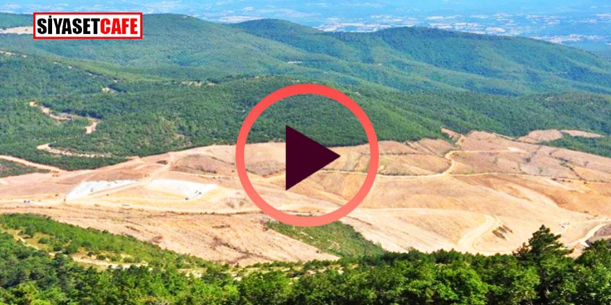 Kaz Dağları'nda neler oluyor?