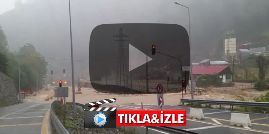 Artvin sele teslim! Dereler taştı, yollar kapandı