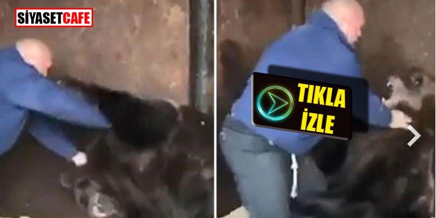 Korkusuz Rus, ayıyla böyle güreşti!