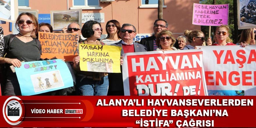 Alanya’lı hayvanseverlerden Belediye Başkanı’na “istifa” çağrısı