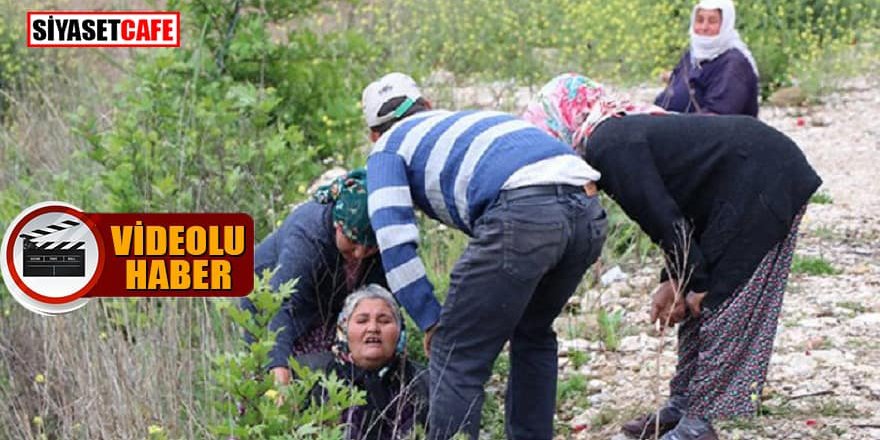 İki kuzenin acı sonu
