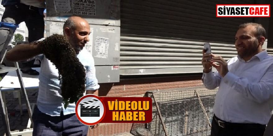 Arılar mahalleyi mesken edindi, mahallede panik yaşandı