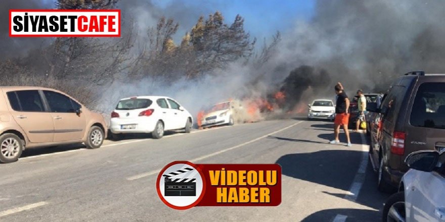 Otluk alanda çıkan yangın onlarca aracı küle çevirdi