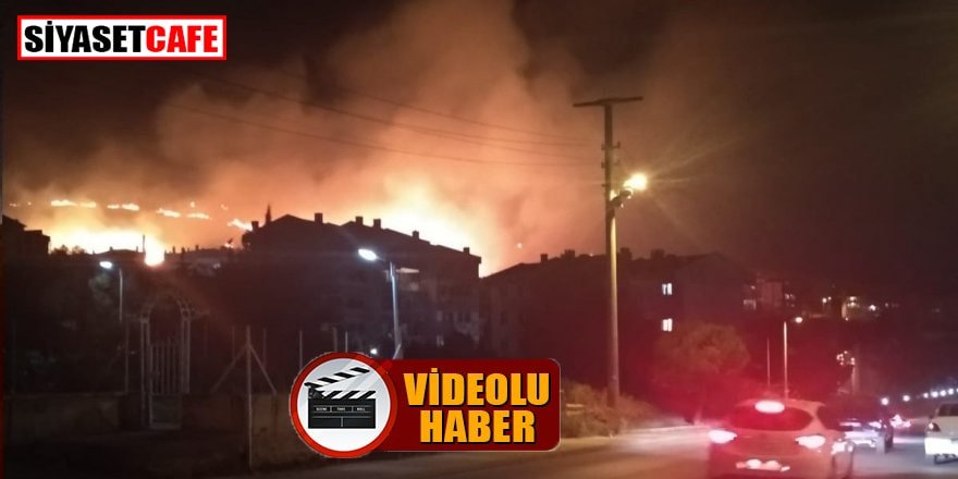 Yalova’da çıkan yangın kısa zamanda kontrol altına alındı
