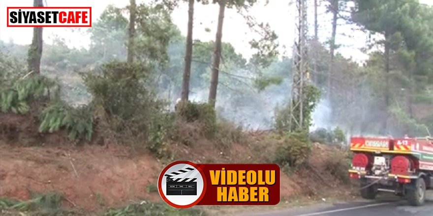 Beykoz’da çıkan yangın söndürüldü