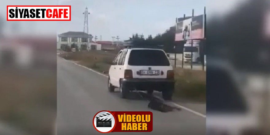 Köpeğe eziyet eden vicdansız sürücü, para cezasıyla kurtuldu