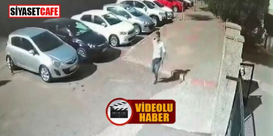 İl emniyet müdürü devreye girdi, telefon hırsızı yakalandı