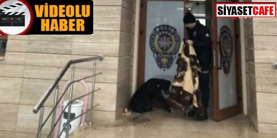 Polis kar yağışında üşüyen köpeğin üzerine battaniye örttü