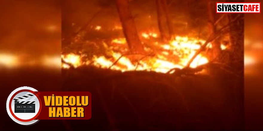 Adana'da orman yangını: Müdahale devam ediyor