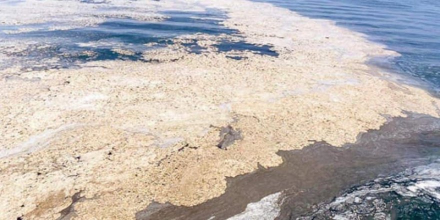 Marmara denizinde 'Müsilaj' temizliği için seferberlik