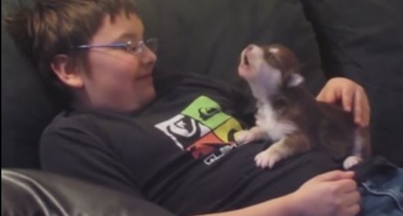 Ulumayı yeni öğrenen köpek çok tatlı:)