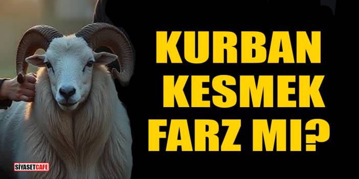 Yaşar Nuri Öztürk: Hayvan kesmek gibi bir ibadet yoktur