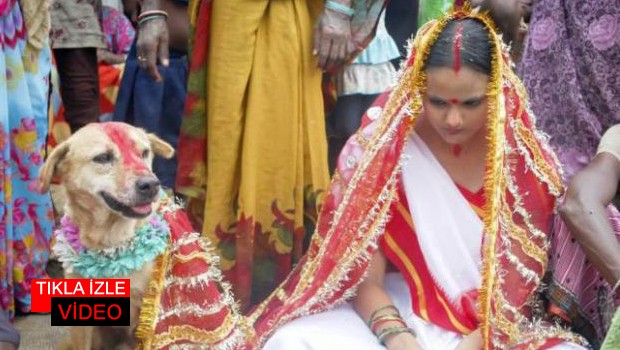 Hindistan'da Kızını Köpekle Evlendirdi